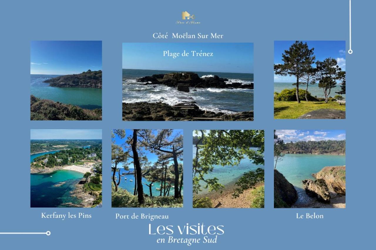 Le Tiguidou, Cosy, Lumineux, 2-6 Pers, Plage 300M Моелан-сюр-Мер Екстер'єр фото
